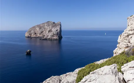 Shore Excursions